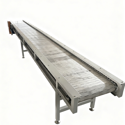 Chain Plate Conveyor